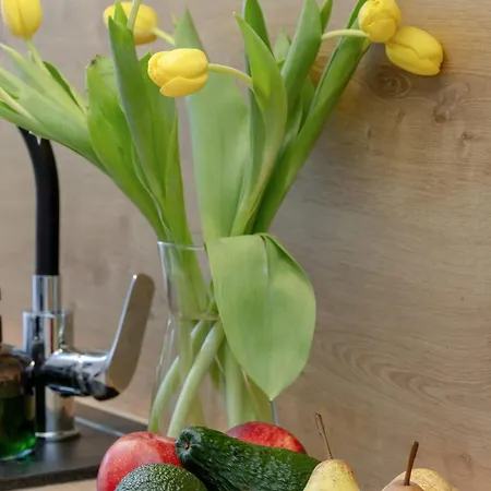 Lägenhet Prestige Red Z Basenem *