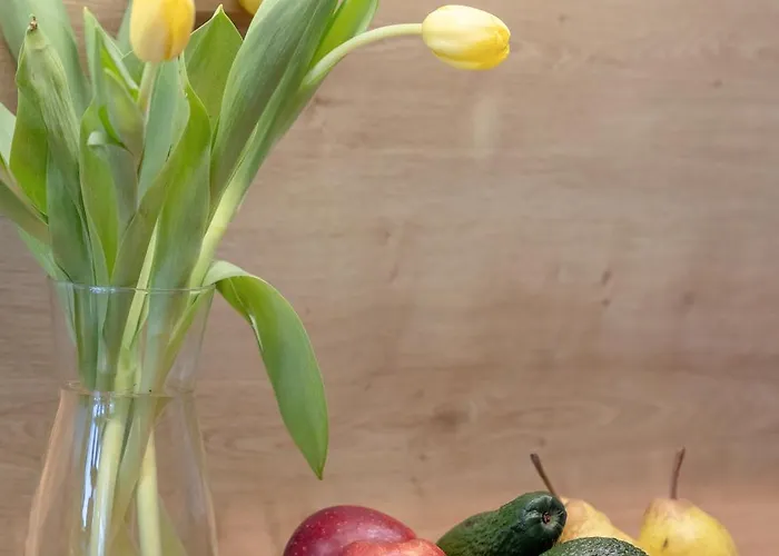 Prestige Red Z Basenem