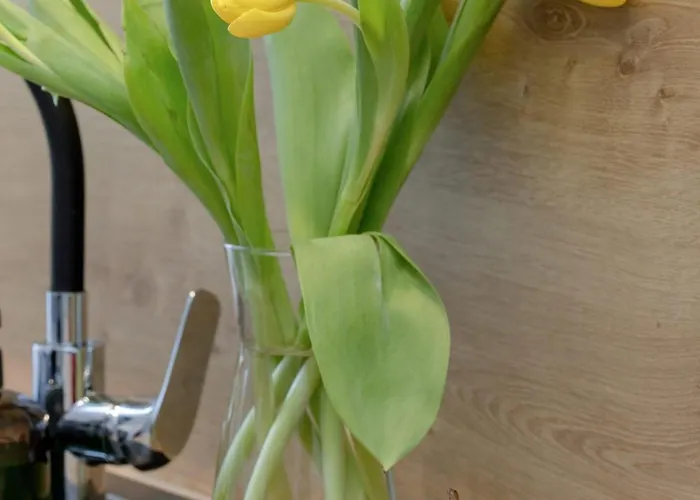 Prestige Red Z Basenem Lejlighed Pobierowo