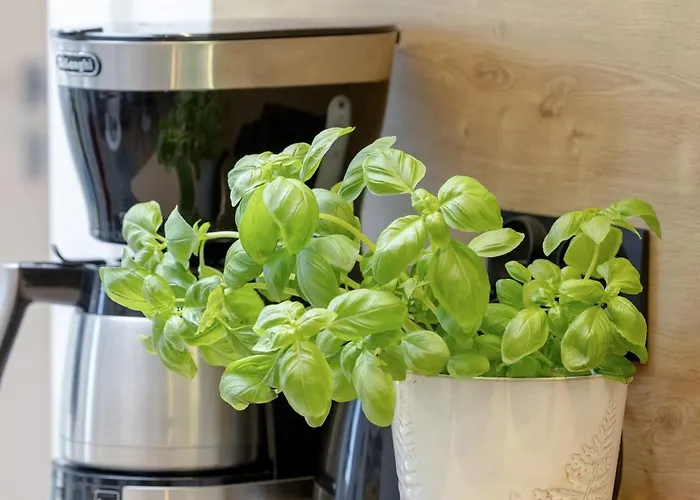 Prestige Red Z Basenem